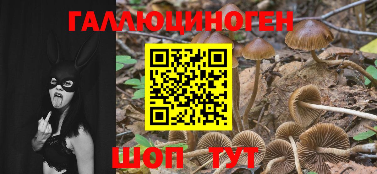 Псилоцибиновые грибы прущие грибы Донецк
