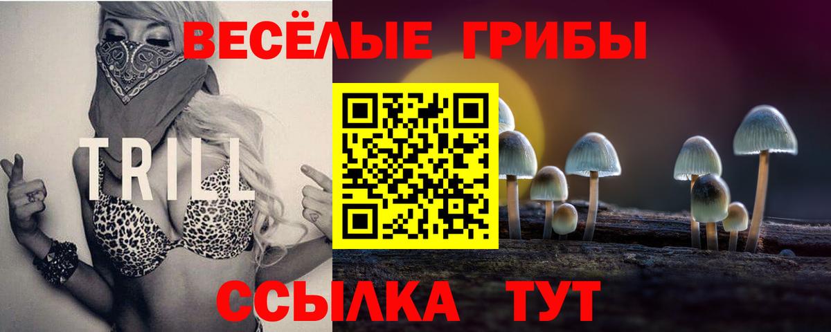 где найти наркотики  Галлюциногенные грибы Psilocybine cubensis  Вход с VPN  Донецк 